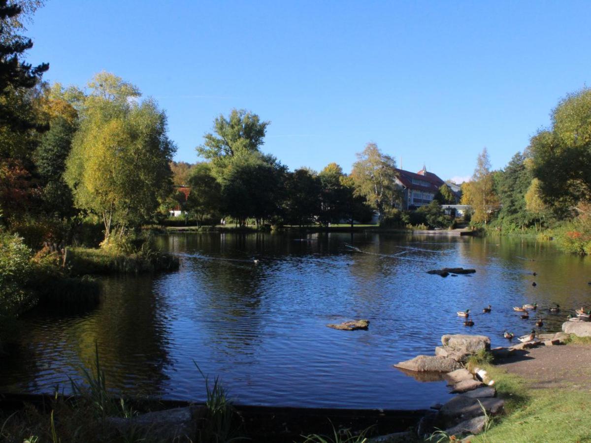 Harzer Schatz - Bergpack Suite Braunlage Zewnętrze zdjęcie