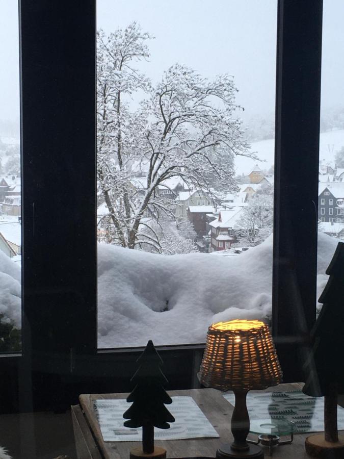 Harzer Schatz - Bergpack Suite Braunlage Zewnętrze zdjęcie